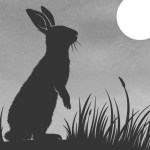 quicklyrabbit_600x600