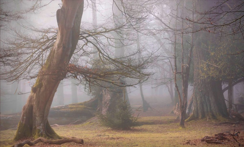 Day 21 NaPoWriMo&nbsp;2021