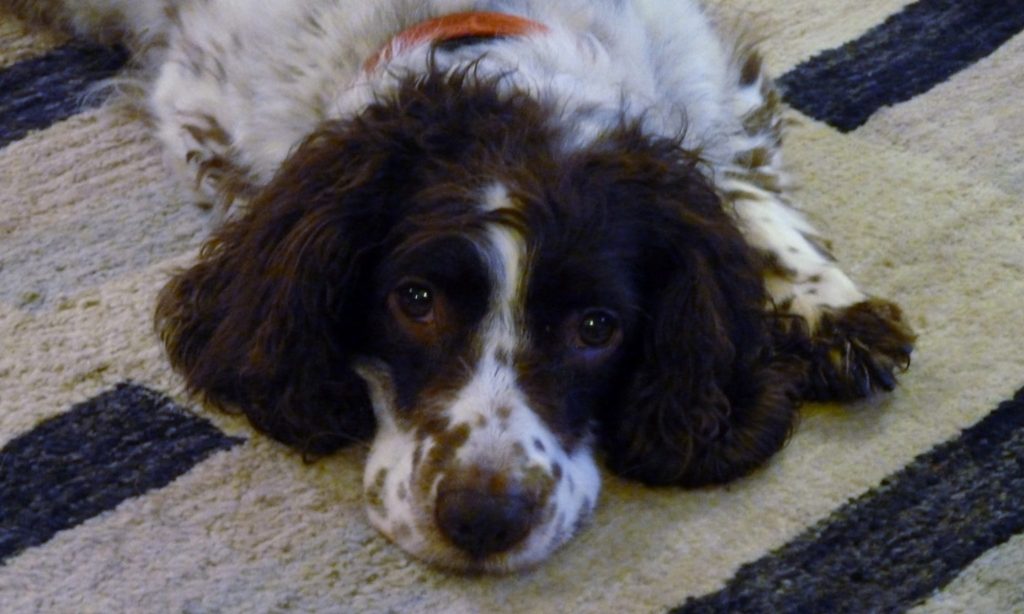 for Miz Quickly Day&nbsp;25