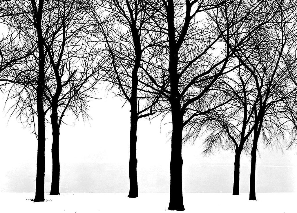 dVerse Quadrille 130 “smudge”