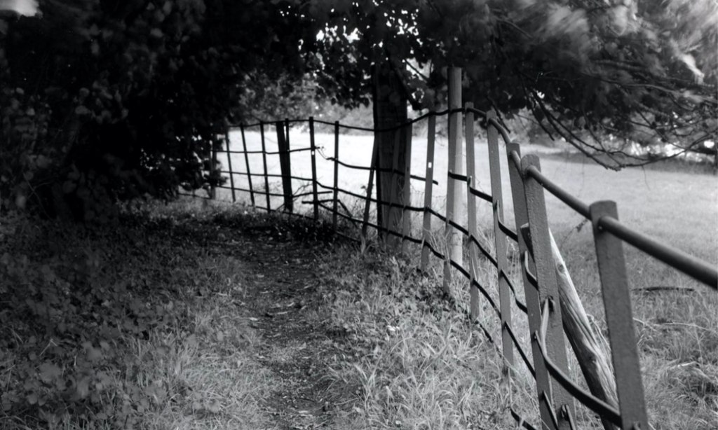 The Path Near Tully’s&nbsp;Farm