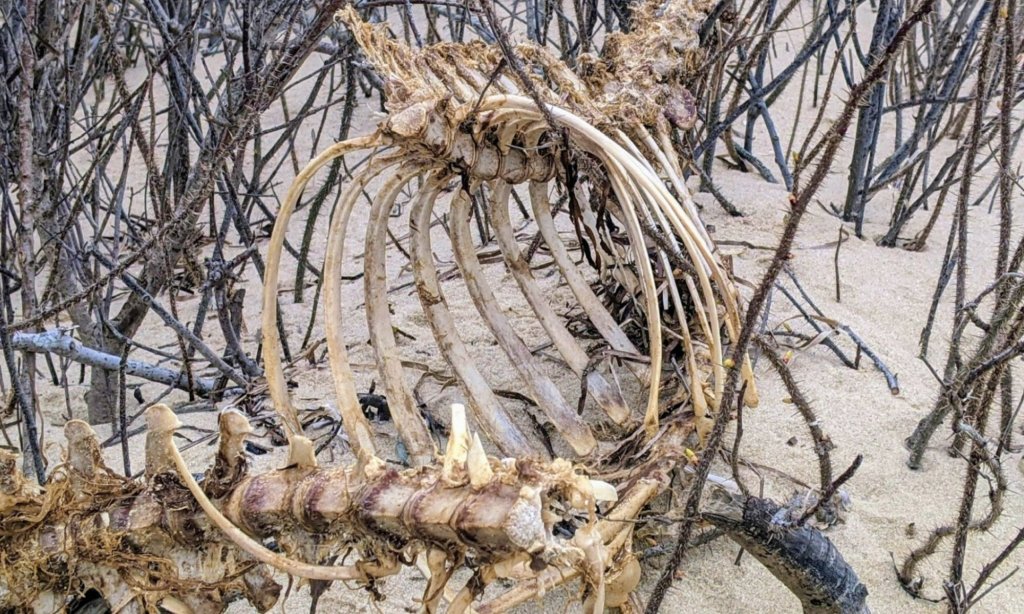 Miz Quickly’s 19&nbsp;August