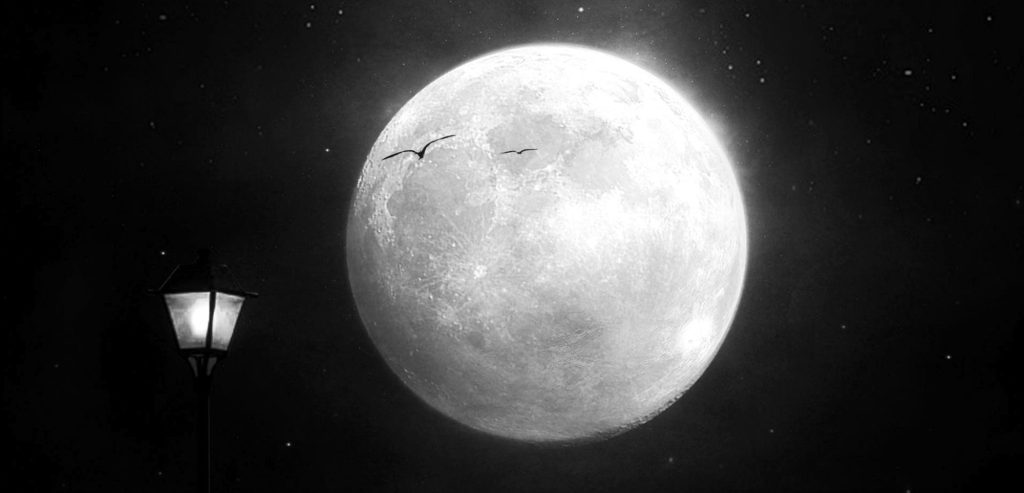 Miz Quickly’s 12&nbsp;August