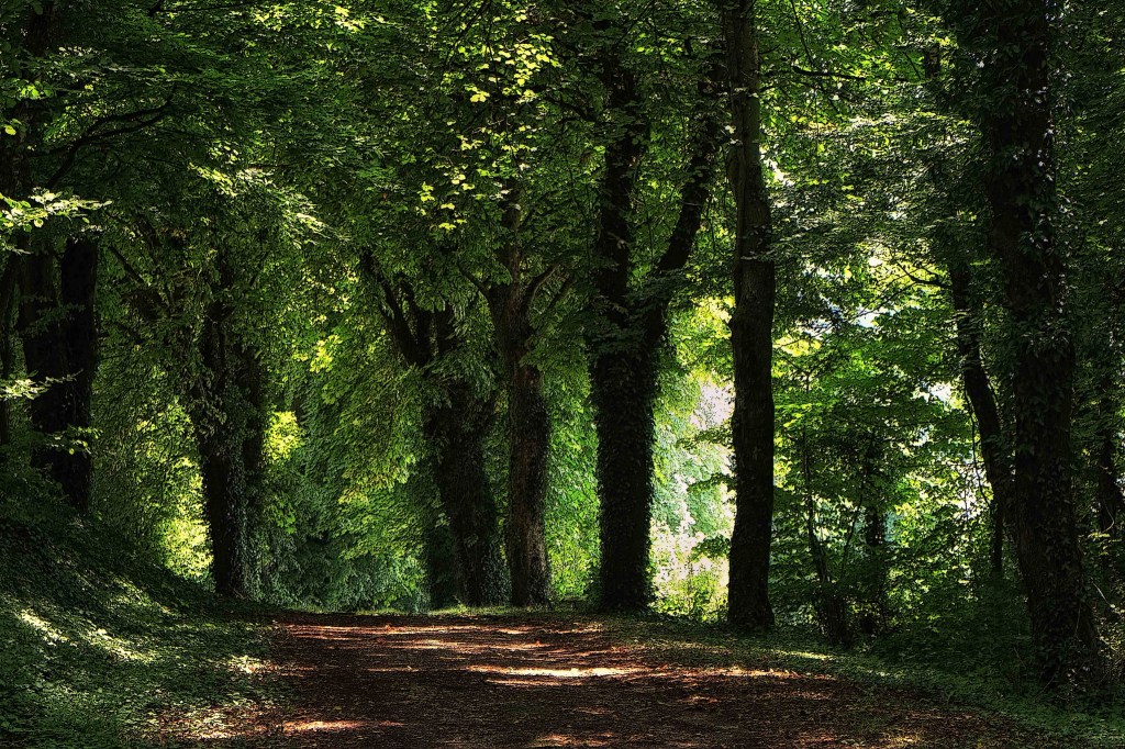 Stream of Consciousness Saturday: New&nbsp;Shoes