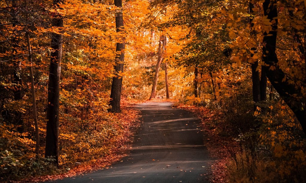 for Miz Quickly’s Day&nbsp;7