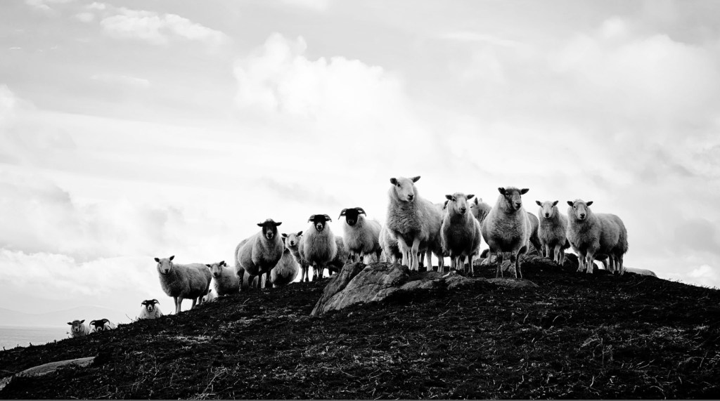 Miz Quickly’s Day 18: A Poem after a Line by George&nbsp;Eliot