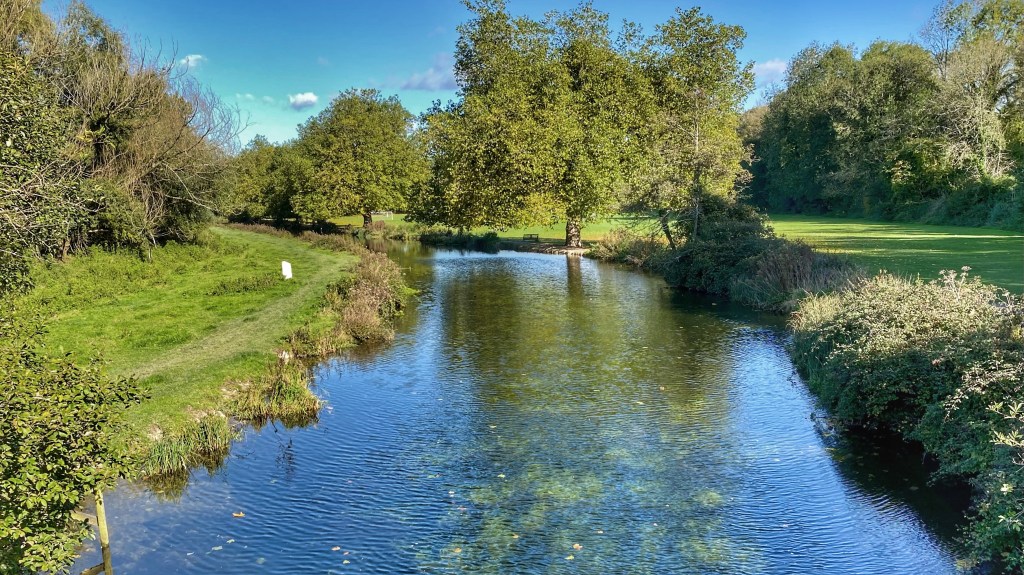 A Few Days in The New&nbsp;Forest