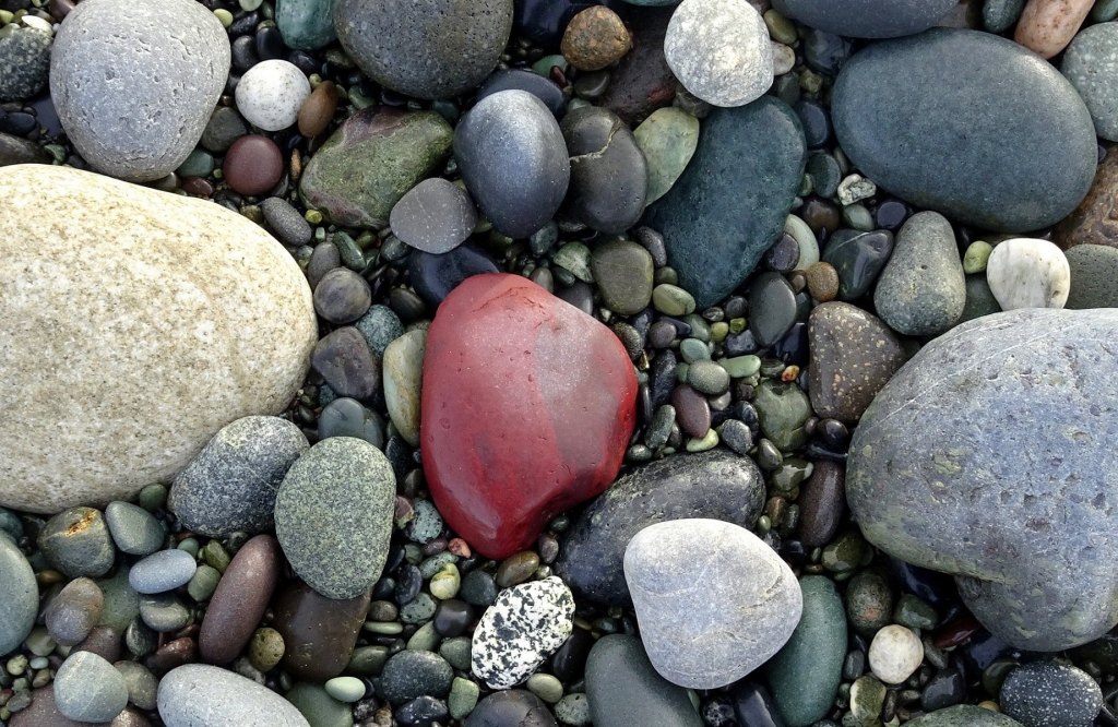 5 October: dVerse Quadrille&nbsp;#137