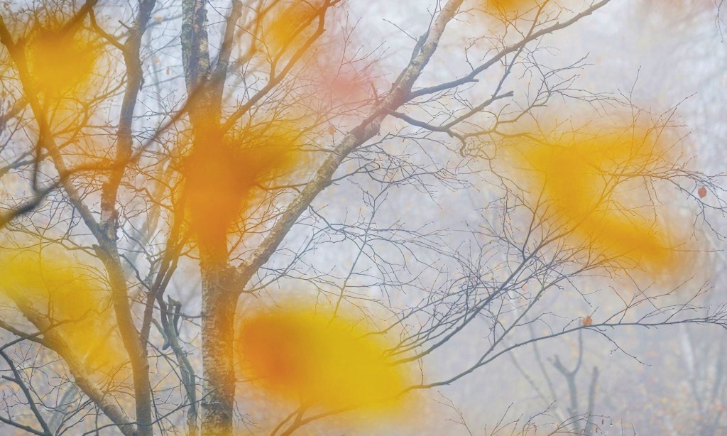 Day 20: NaPoWriMo&nbsp;2021