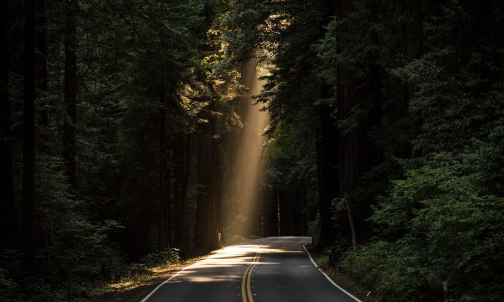 Miz Quickly’s 13 December:&nbsp;Light