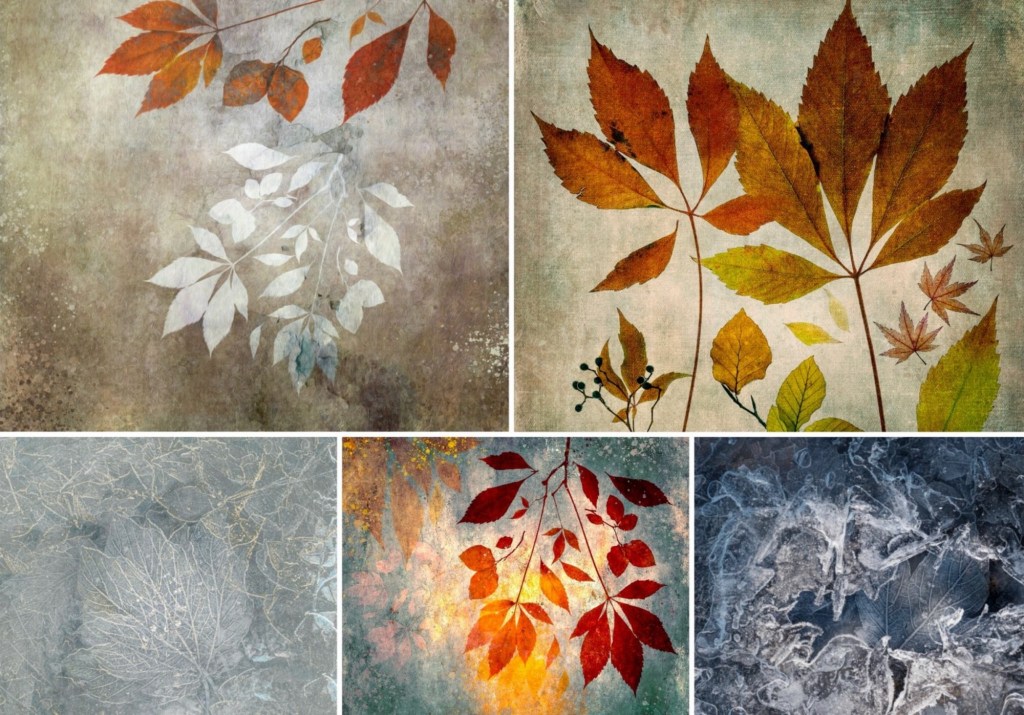 Q7: The Black and White of&nbsp;It