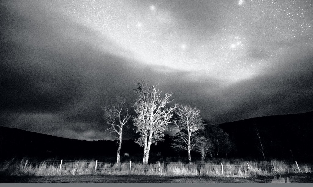 Day 14: #JusJoJan “Freckled”