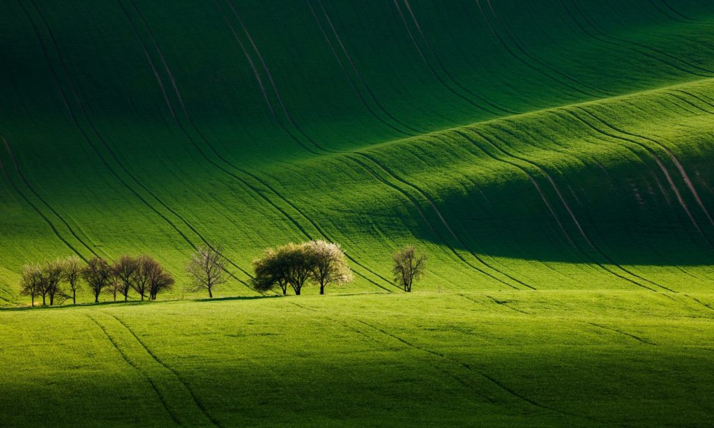 The Greens and Blues of&nbsp;It