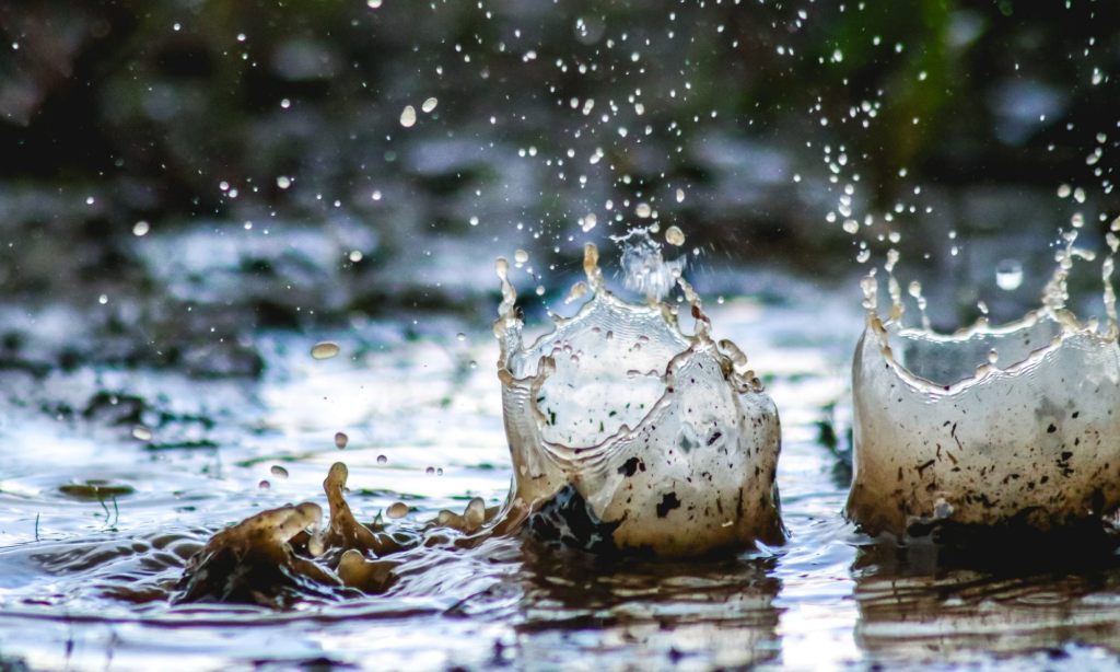 Miz Quickly’s Day 12 Words