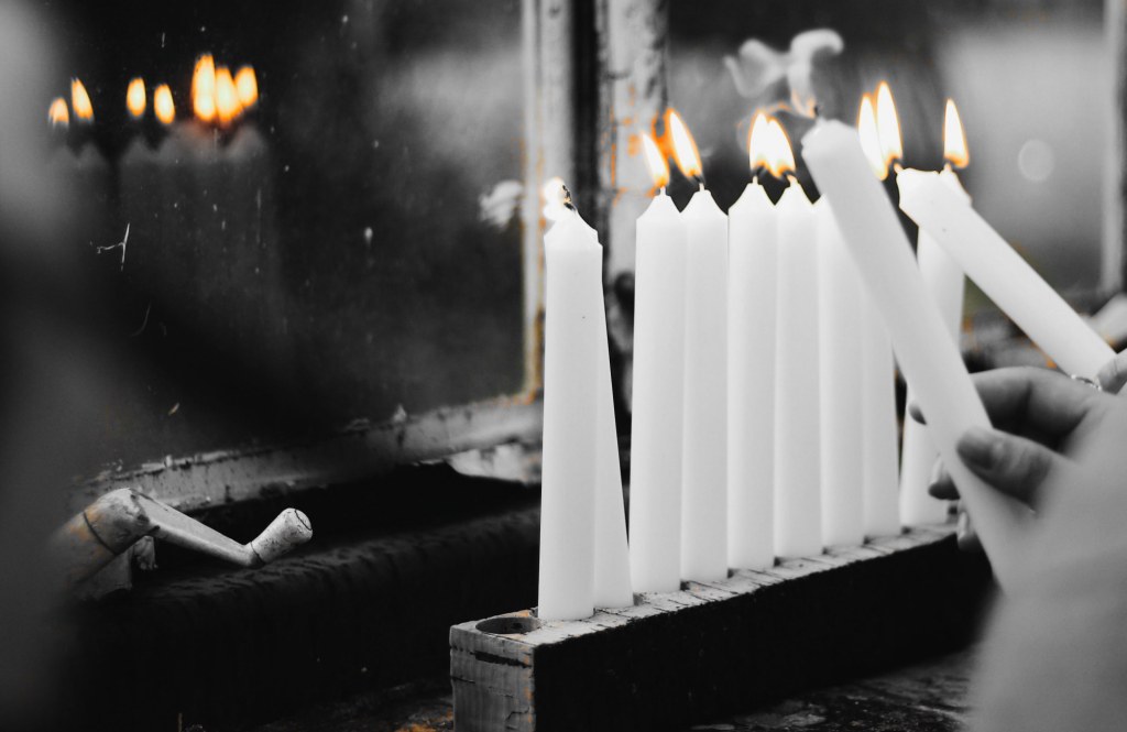 GoDogGo March Titles&nbsp;#14