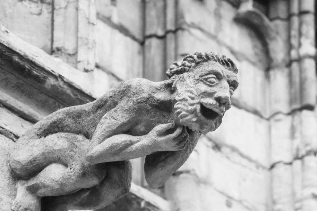 7.02.22: Gargoyle
