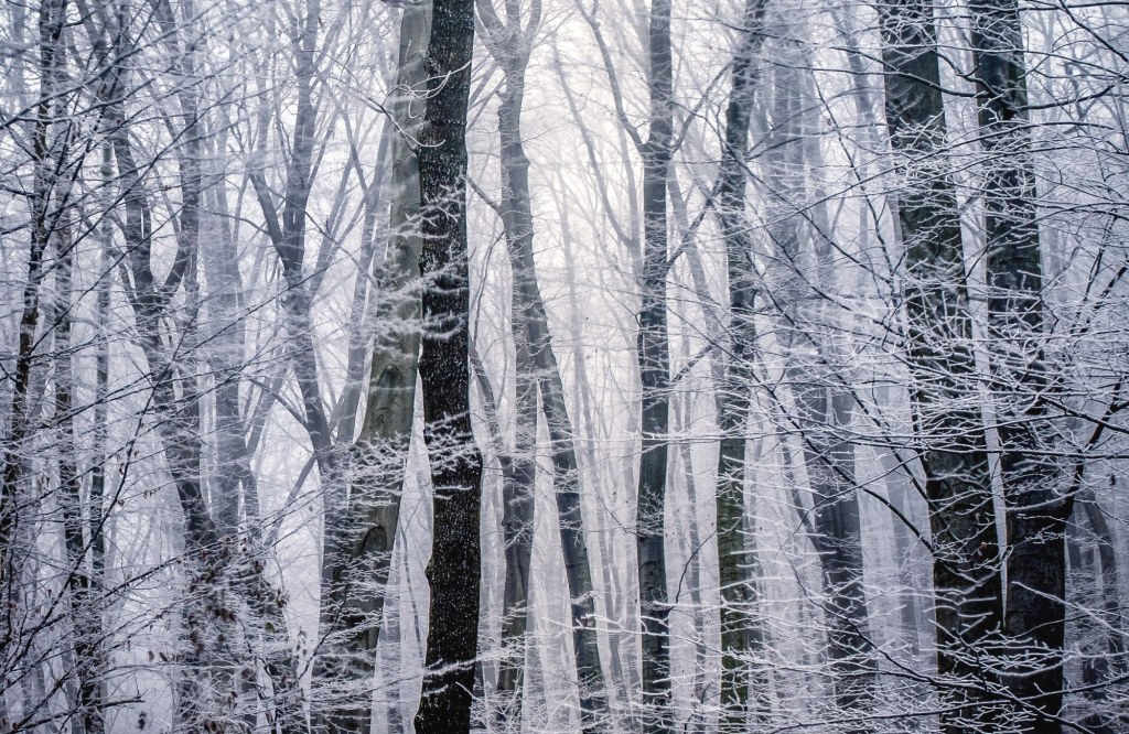 24.02.22 A Choka&nbsp;Poem