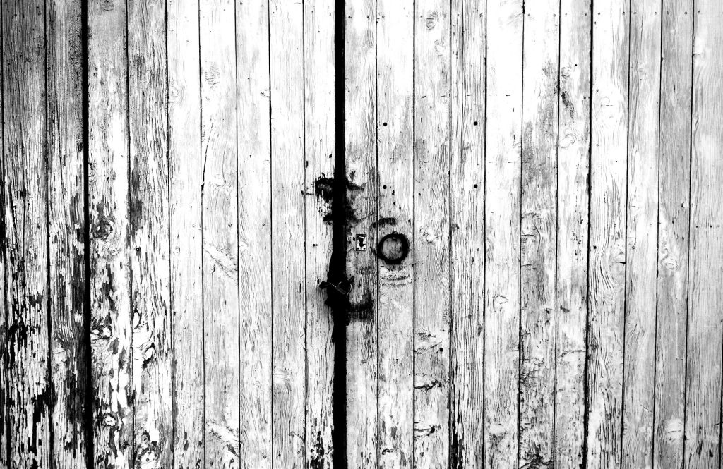 GoDogGo Cafe Haibun&nbsp;Wednesday