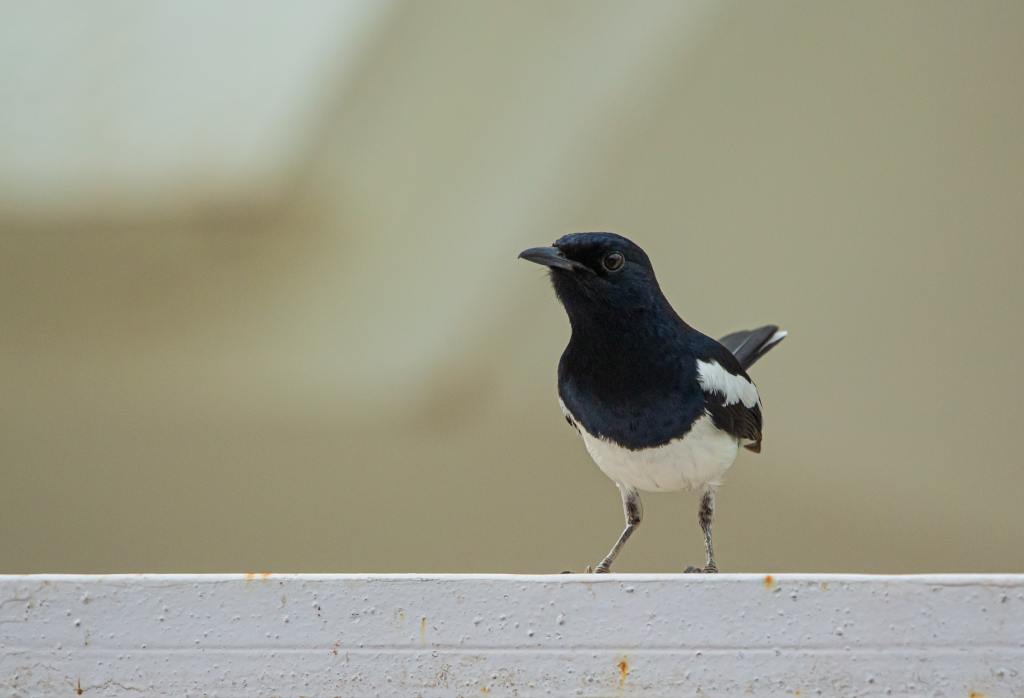 13 May: A Little&nbsp;Conversation