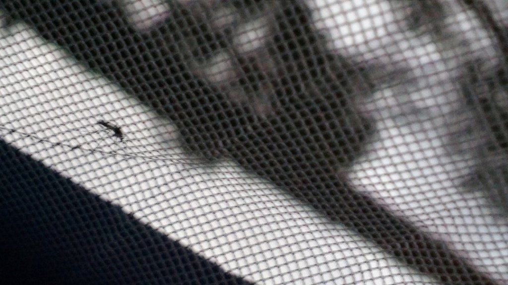 mosquito on netting. B&W