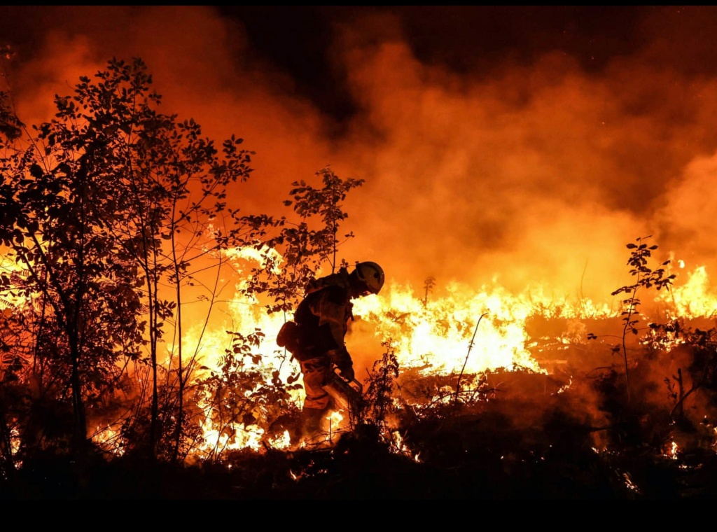 fireman fighting forest fire.