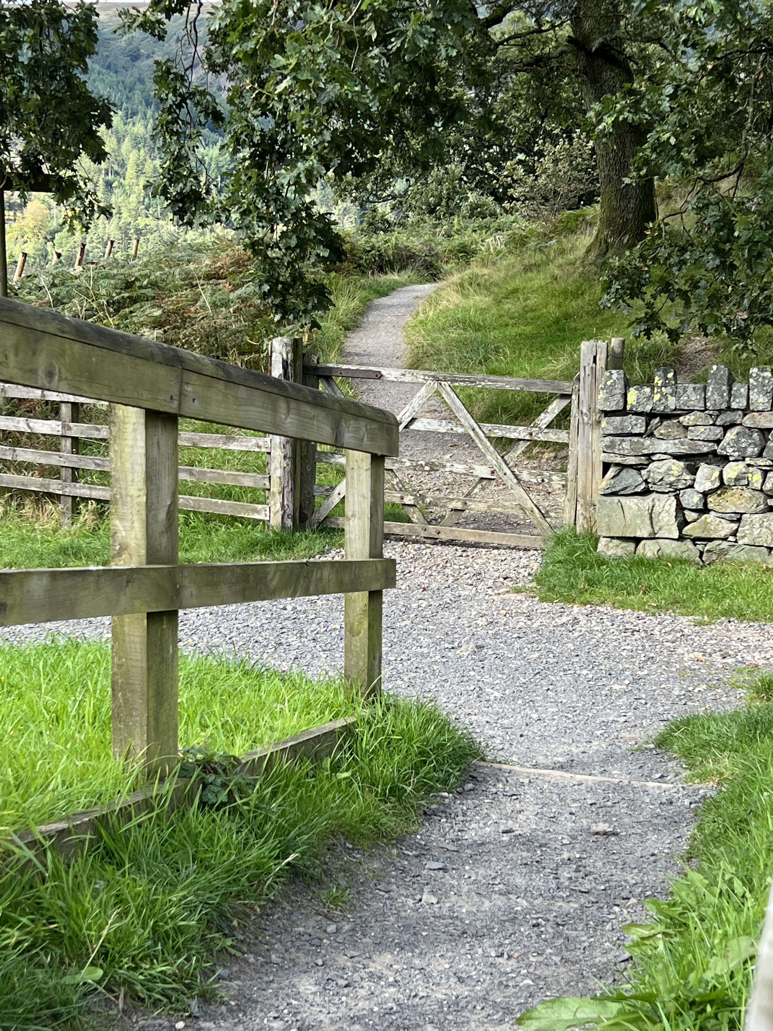 trail to one of the lakes