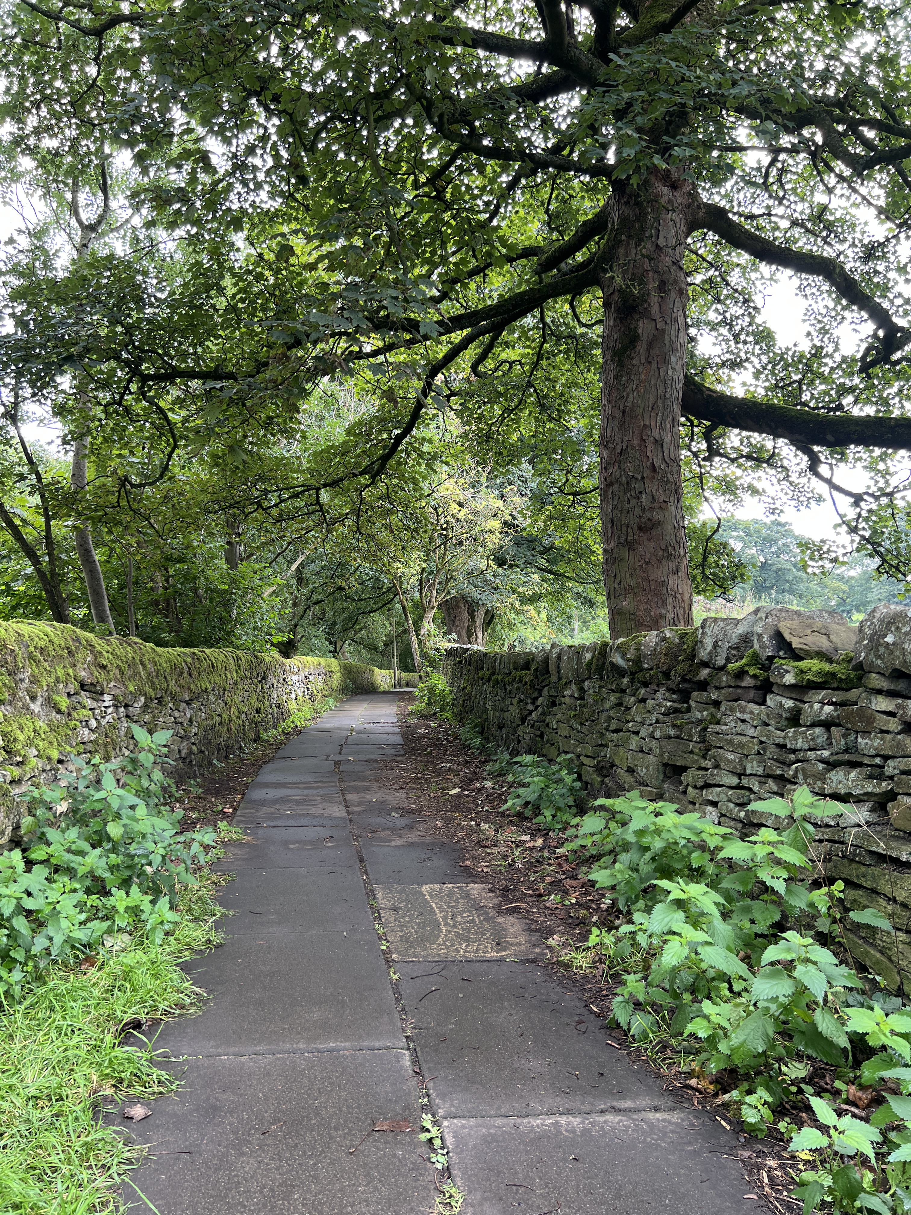 Haworth footpath to church and Brontë parsonage