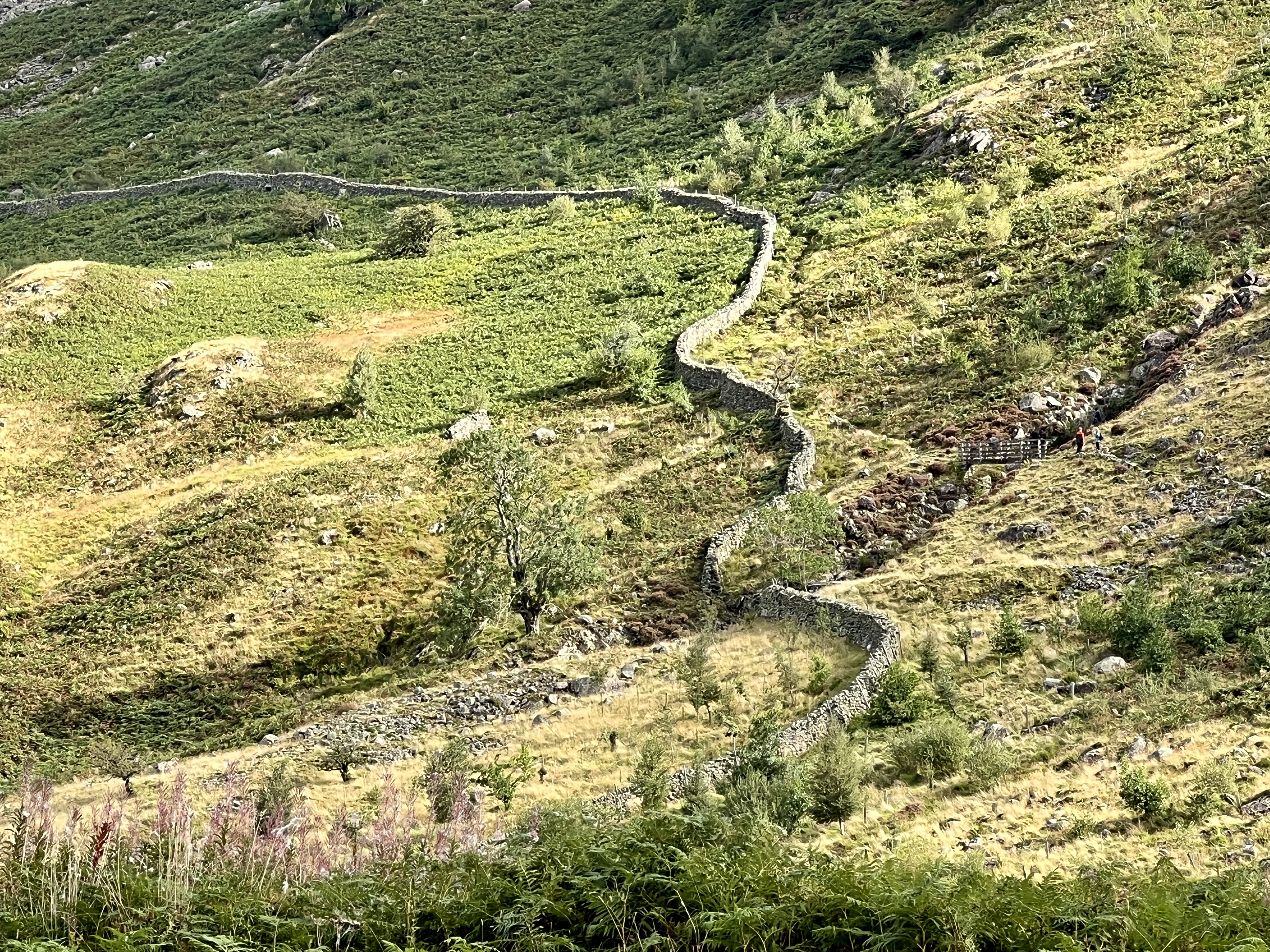 dry stone walls zig-zagging up steep hills