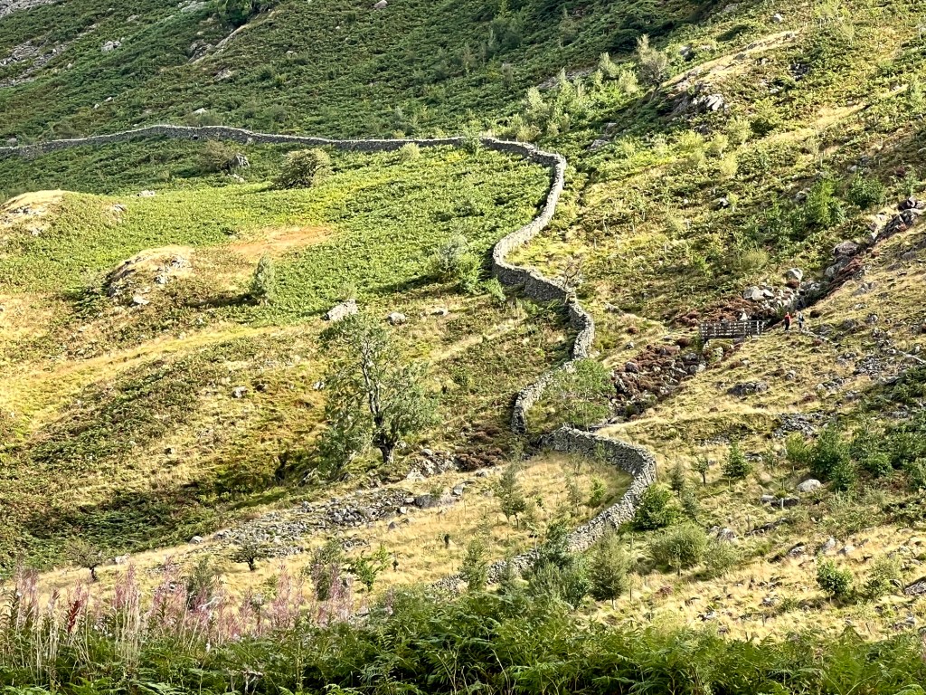 dry stone walls zig-zagging up steep hills in the Lake District