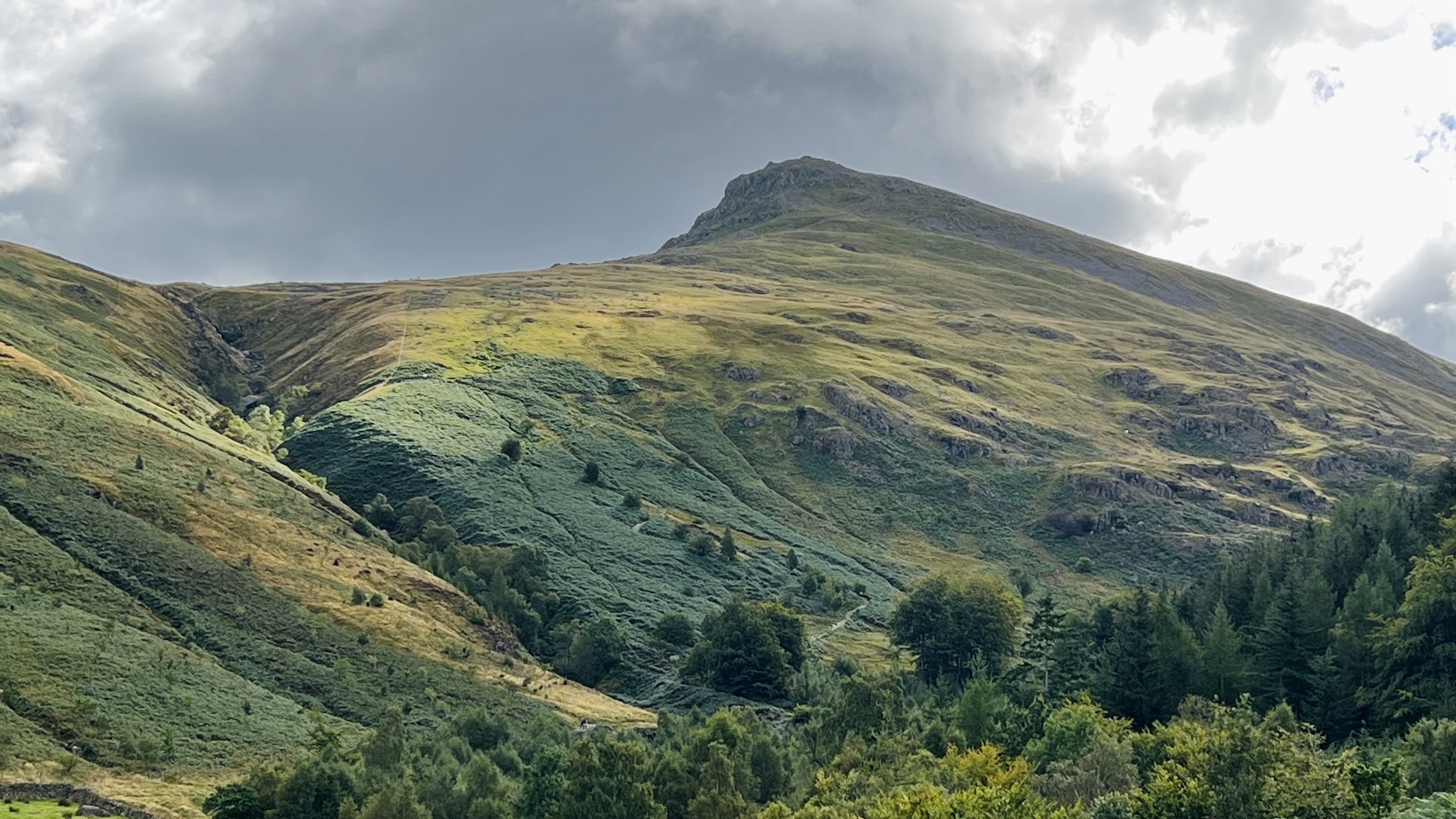 hills with sheep grazing