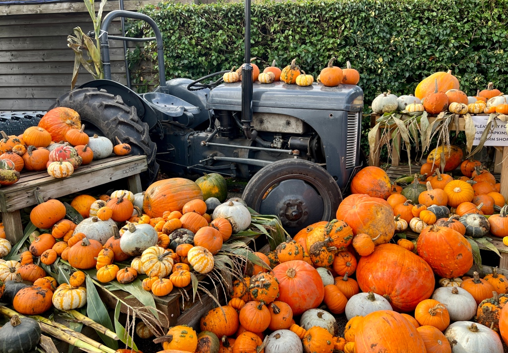 The Priory's farm shop. Tractor and pumpkins.