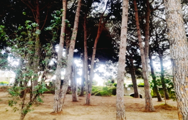 This photo is from Unicorn Challenge, © Ayr/Gray