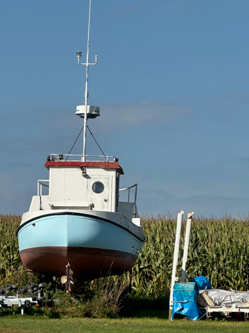 fjællebroen one-eyed boat in a cornfield