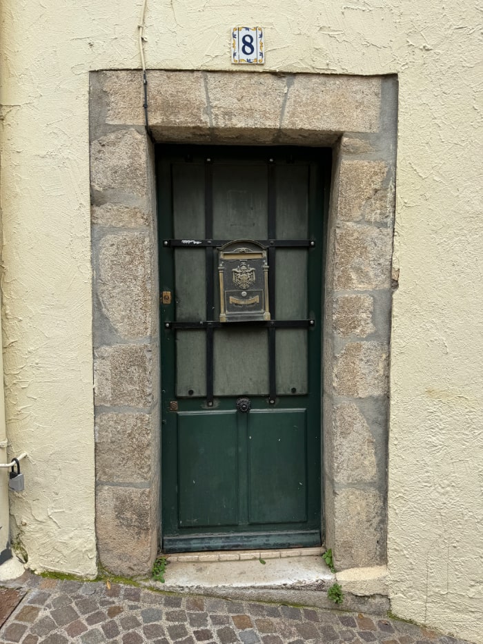 a door with stone frontage, leaded glass windows and a brass seal int he centre. From Cannes France