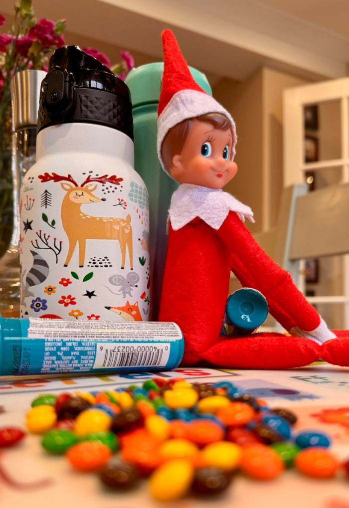 the House elf dressed in red surrounded by M&Ms on the table