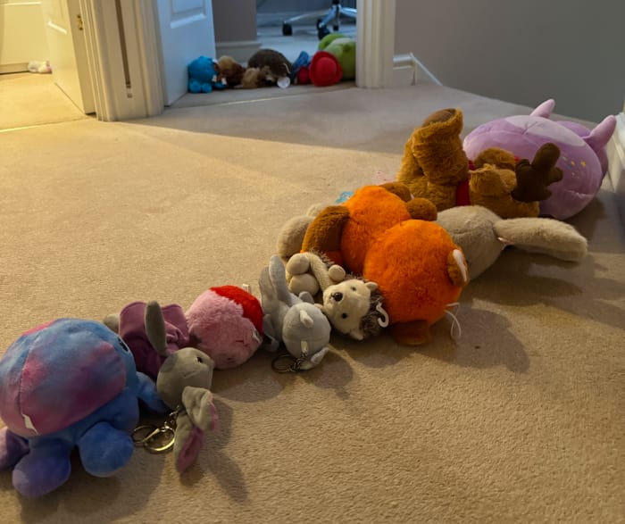 the children lined up their stuffed toys for a bit warfare. 