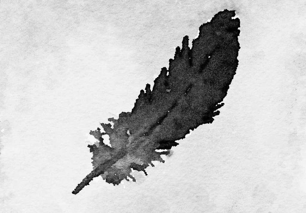 watercolour, monochrome, black feather from a crow