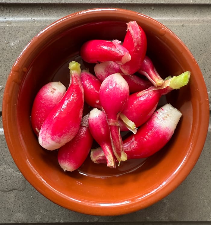 homegrown radishes