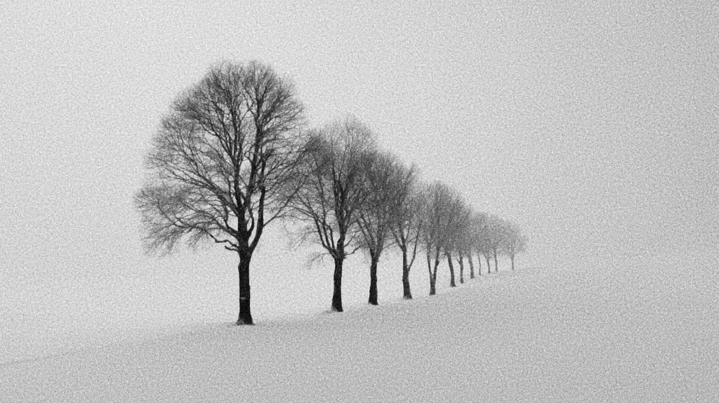 18 Sept: From the&nbsp;Oracle