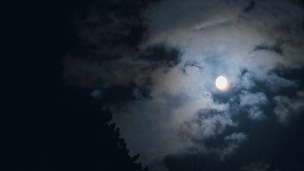 8 Oct: A Six – The Book of 27