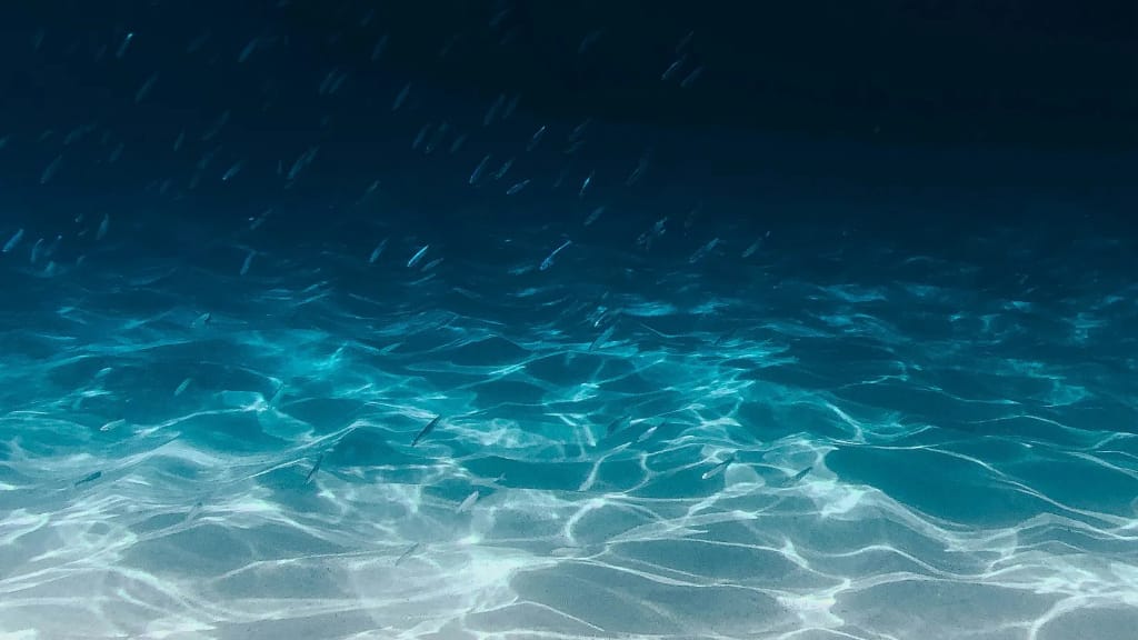 underwater image, resplendent with many small, silver fish. Maybe minnows. The bottom is white sand, and the varying hues of blue from lighter to darker.