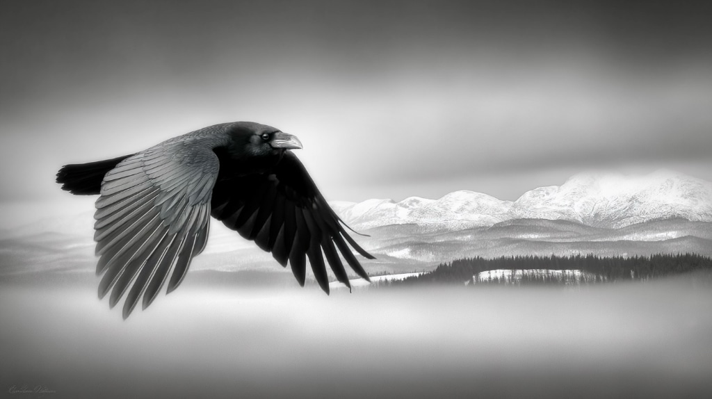 21.11: MicroDosing 150µg