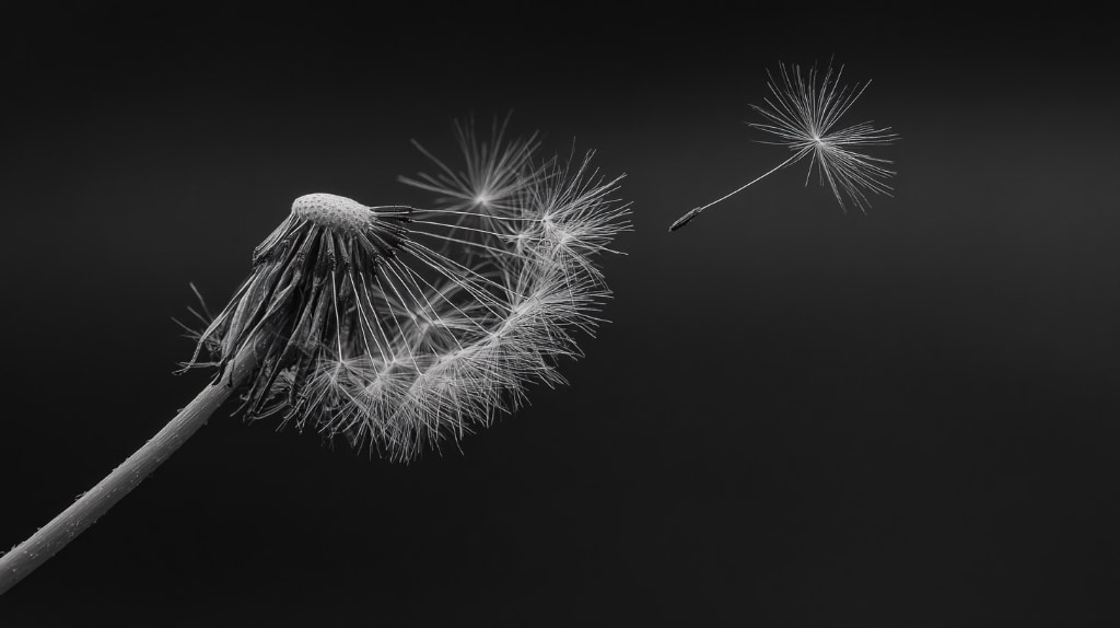 5.12: A Poet’s Thoughts on Grief