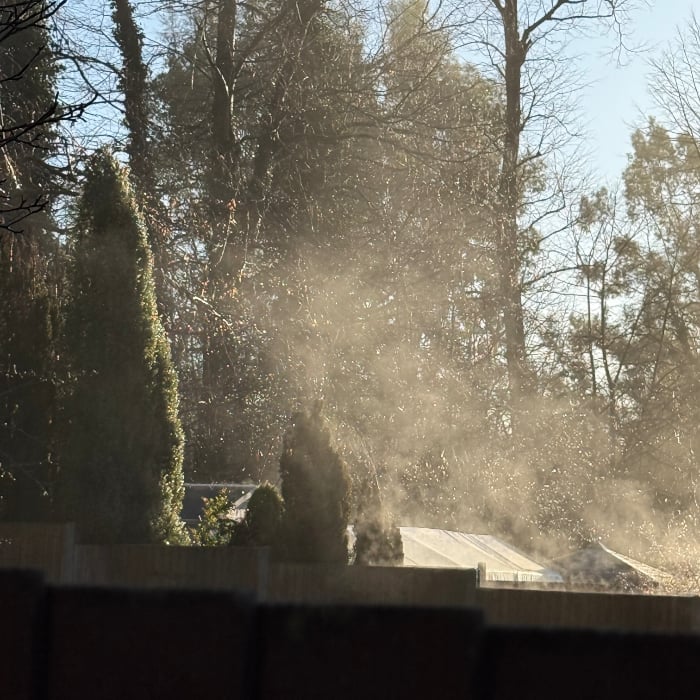 wooden fencing steaming as the morning sun warms them