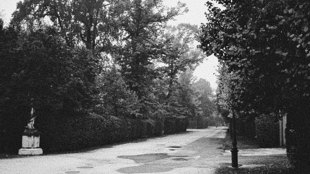 B&W image of rainy, grey day with trees and road with puddles