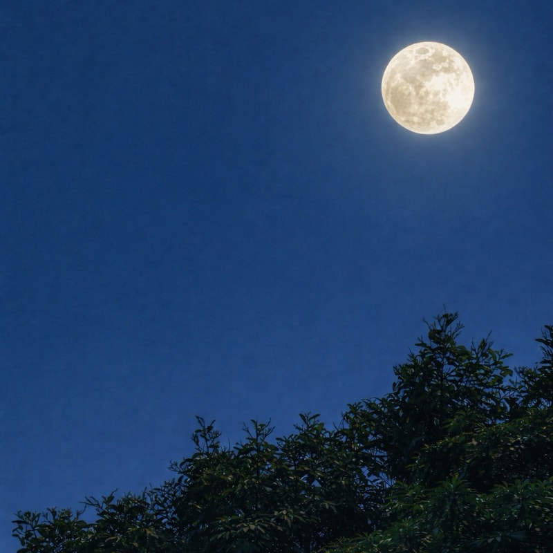 full moon and night sky in Colombia