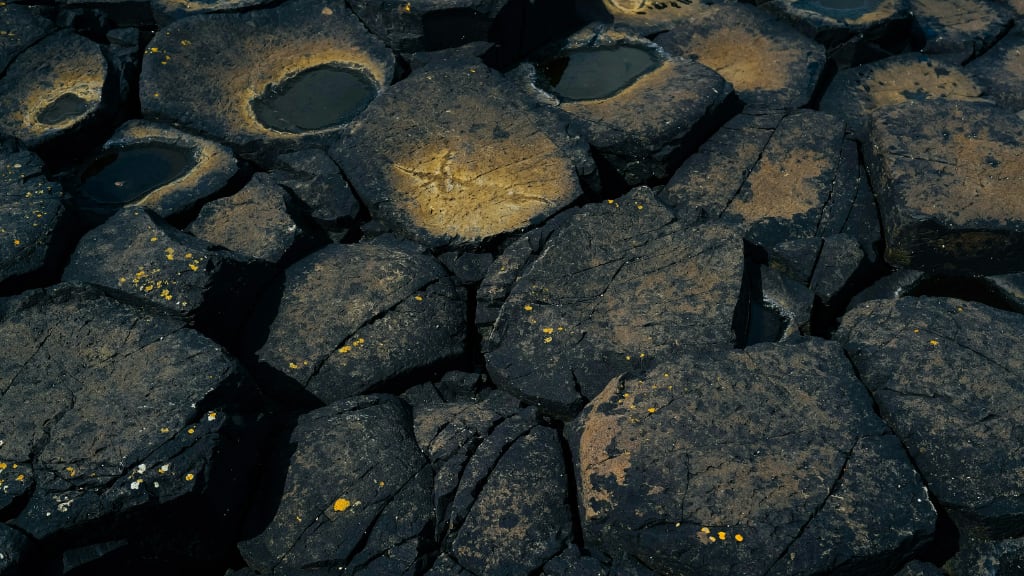 0202: Journal of Thoughts