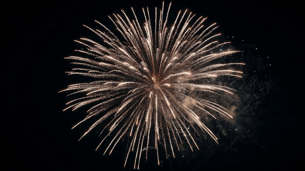 fireworks on a night sky