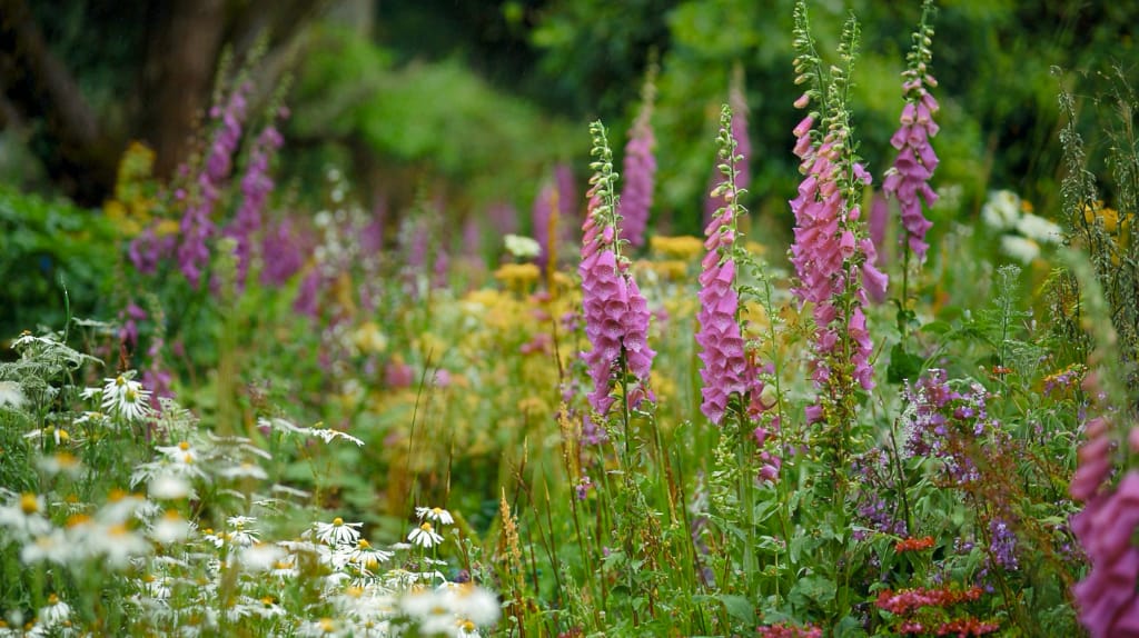 0602: Journal of&nbsp;Thoughts