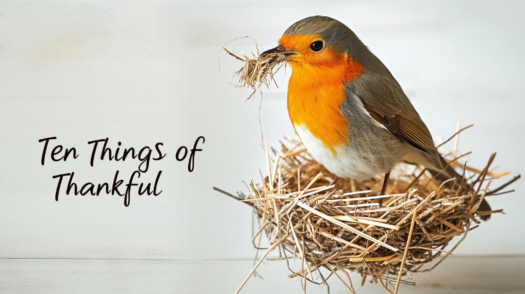 european robin building a nest; words Ten Things of Thankful